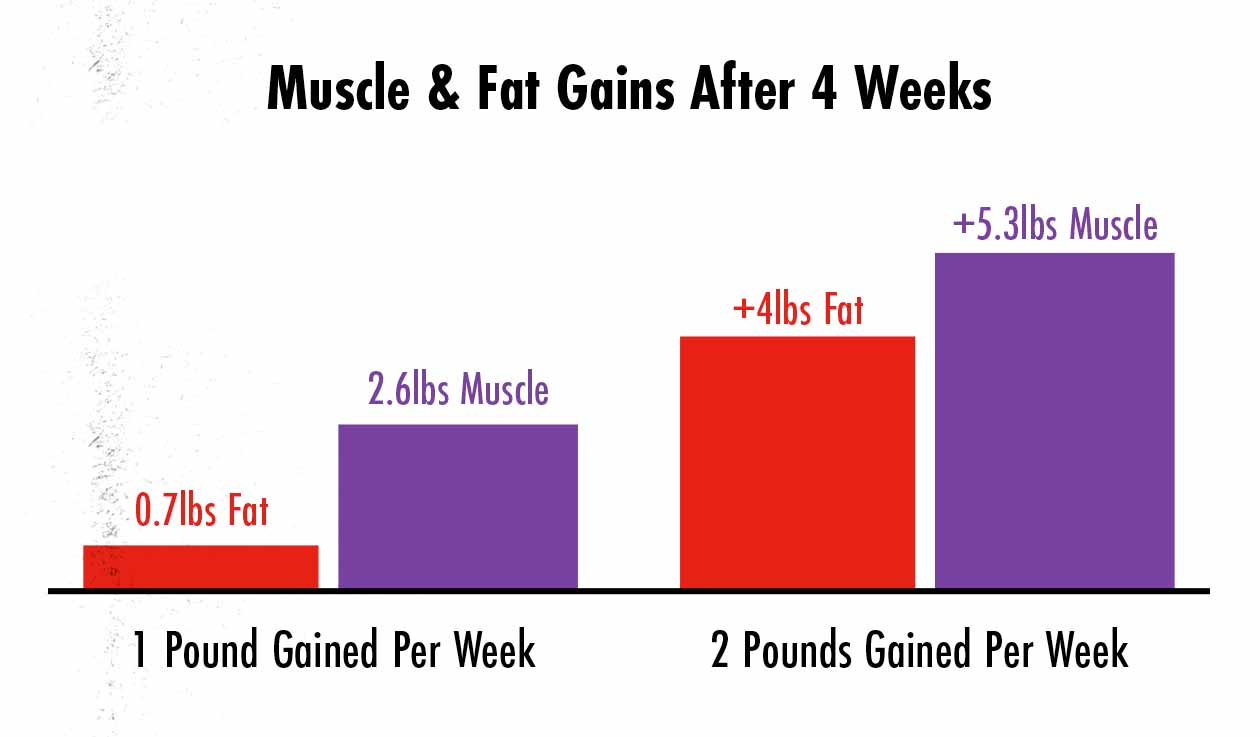 Graph showing that gaining weight more quickly causes us to gain more muscle and fat.