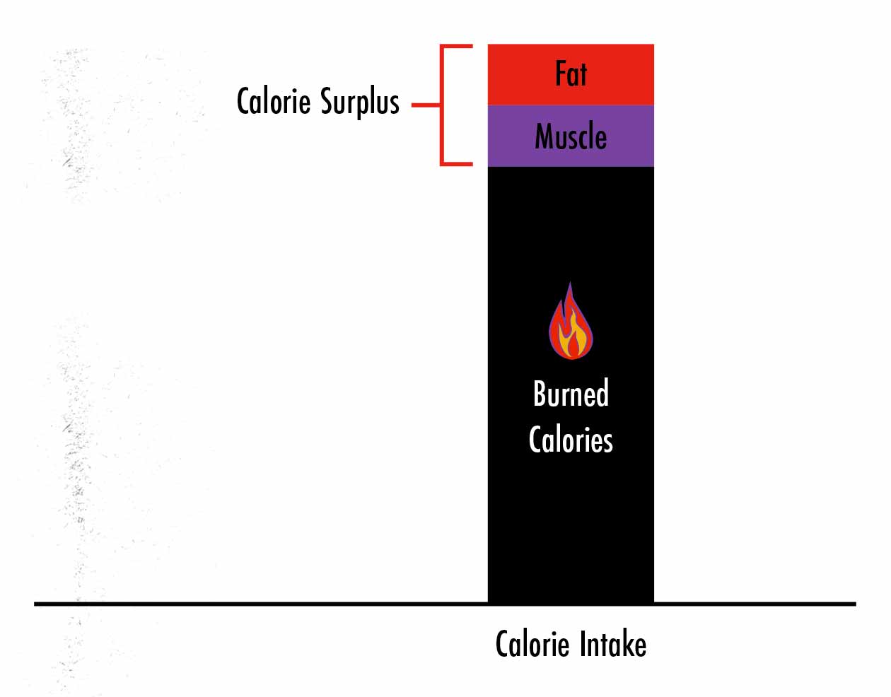 Graph showing the amount of muscle and fat gain while bulking.