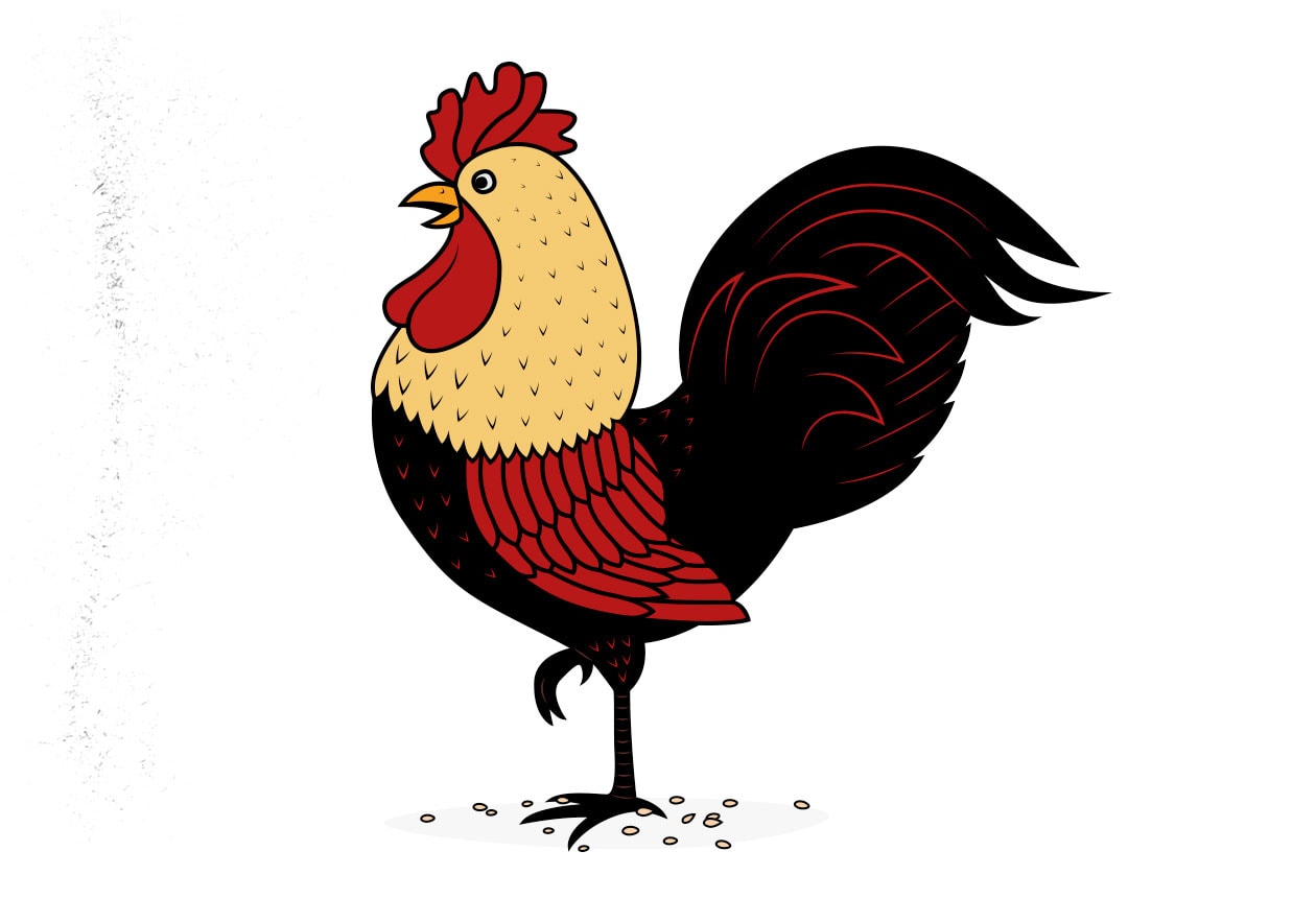 Illustration of a chicken, a common source of protein for people trying to build muscle.