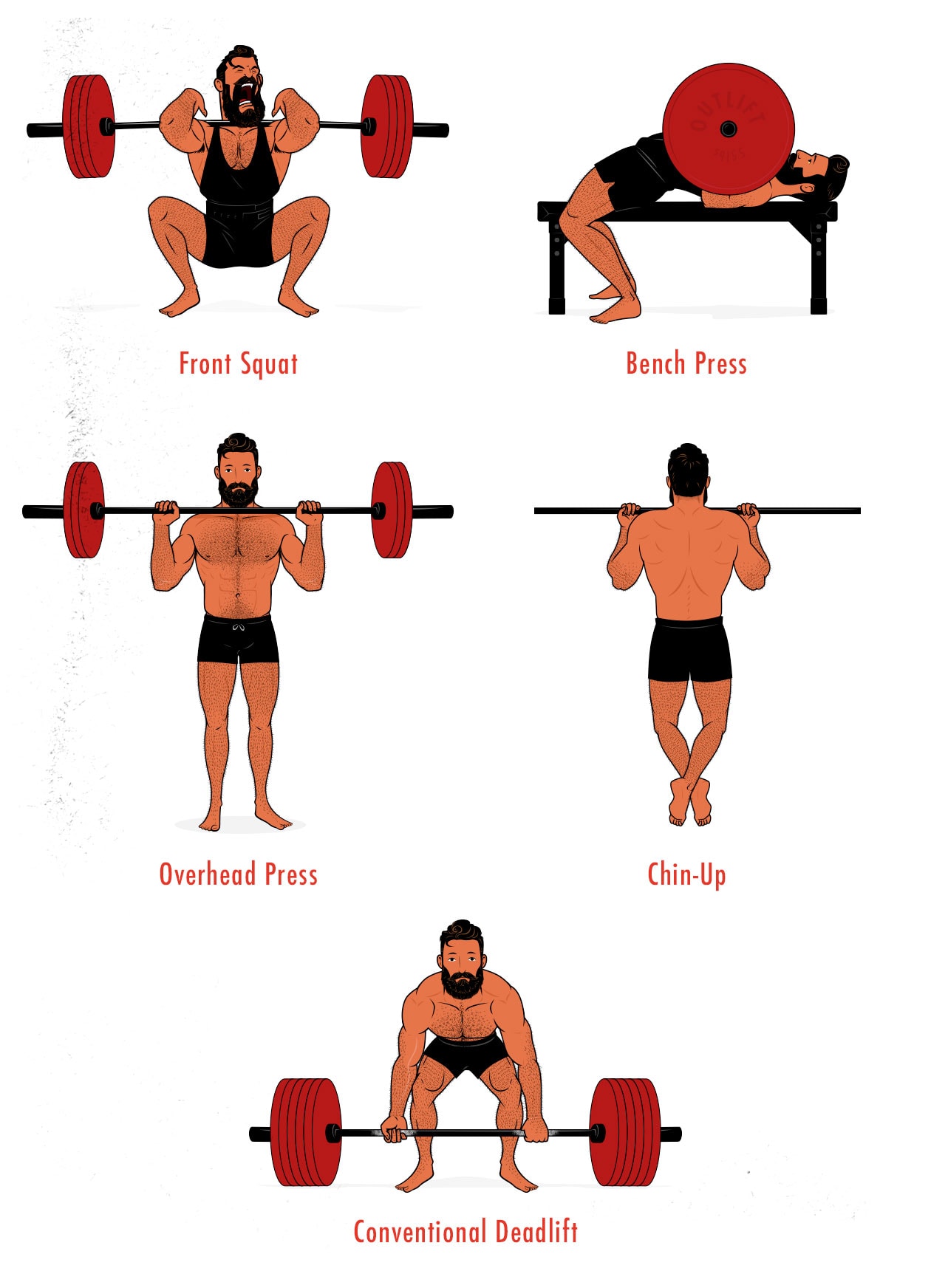 Illustration showing the 5 best compound barbell lifts for gaining muscle mass.