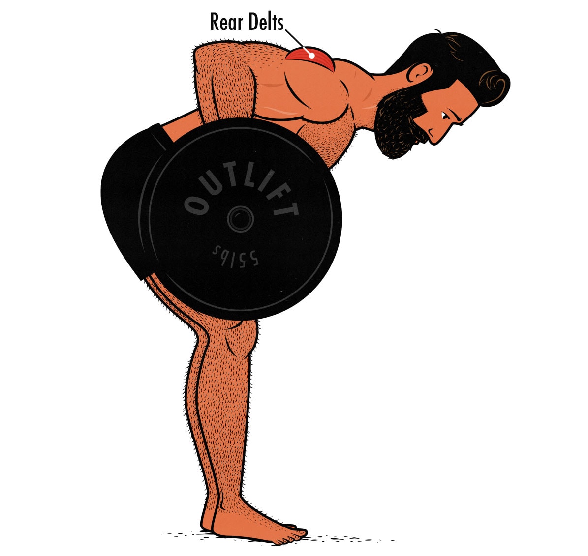 Illustration of a weight lifter doing rear delt exercises to build bigger shoulders.