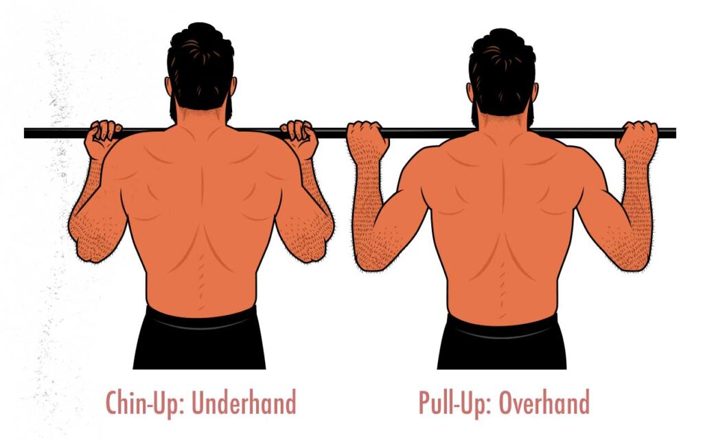 Diagram showing the difference between chin-ups and pull-ups.