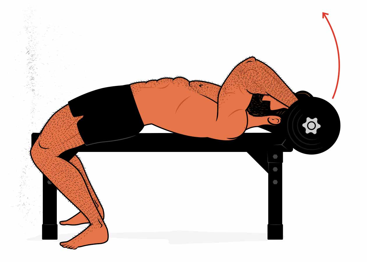Illustration of a bodybuilder demonstrating how to do the skull crusher.
