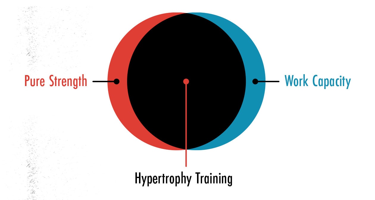 Diagram showing how hypertrophy training is good for gaining both muscle strength and endurance.