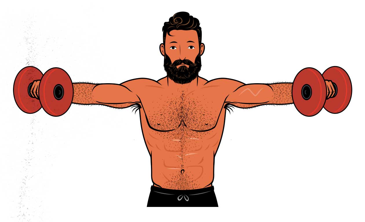 Illustration of a bodybuilder doing the lateral raise to work out his shoulders.