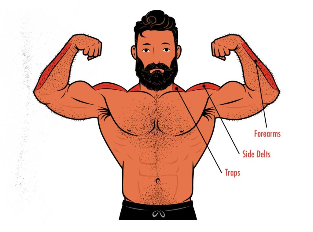 The Shoulder Workout Guide: The Best Exercises & Methods