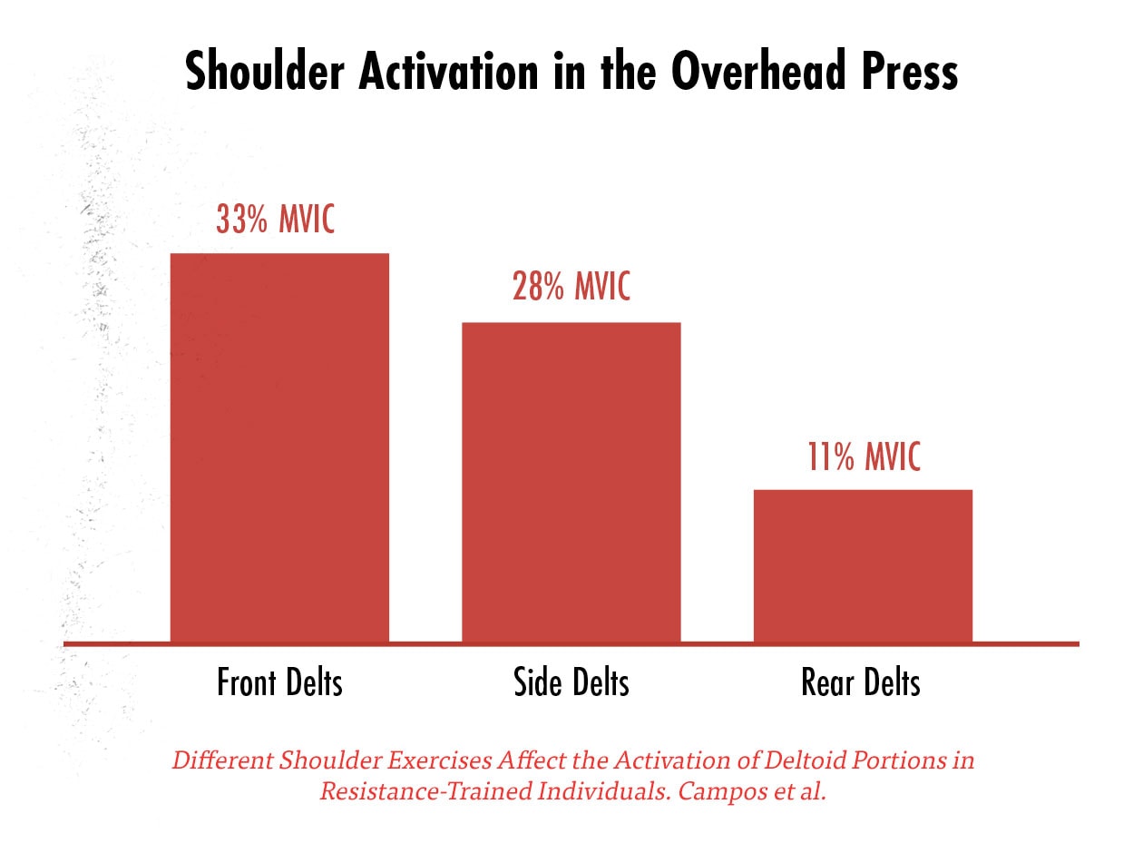 Graph showing the muscle activation of the front delts, side delts, and rear delts in the overhead press as measured by EMG.