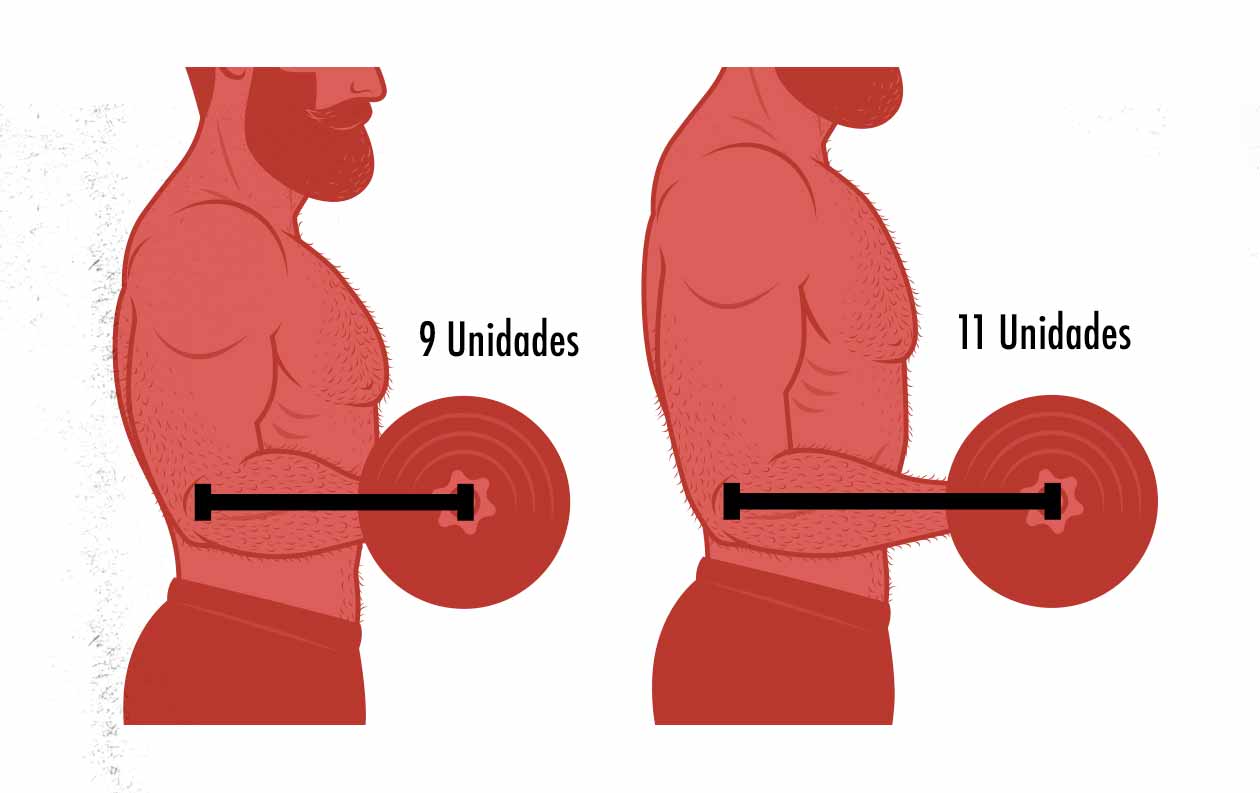 Ilustración del efecto de la longitud de las extremidades al levantar pesas.