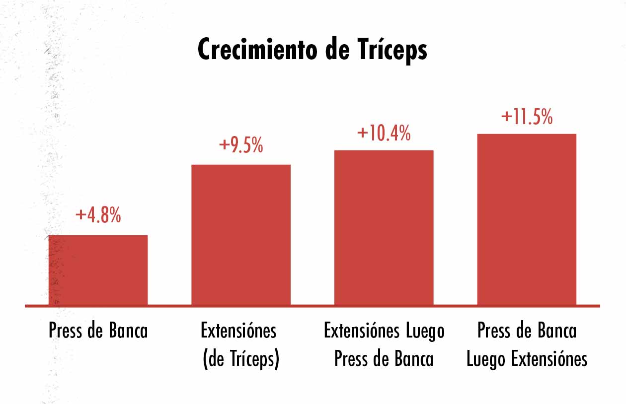 Ilustración del crecimiento de trceps al hacer el press de banca y extensiones de tríceps.