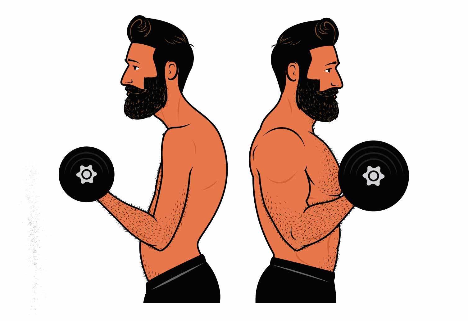 Illustration of a bodybuilder building bigger biceps by doing biceps curls.