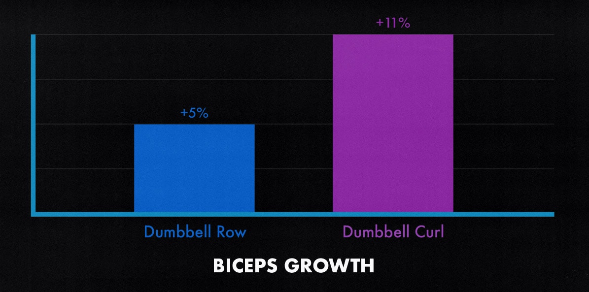 Graph showing the biceps growth from doing two different biceps exercises.