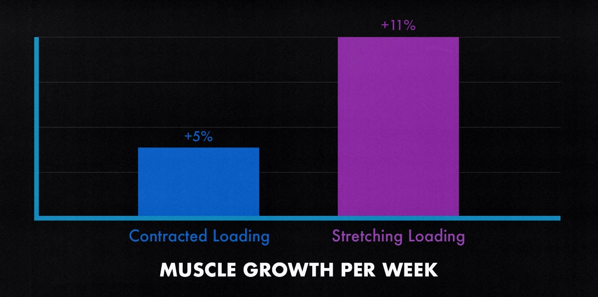 Diagram showing the muscle-building results of a stretch-mediated hypertrophy study.