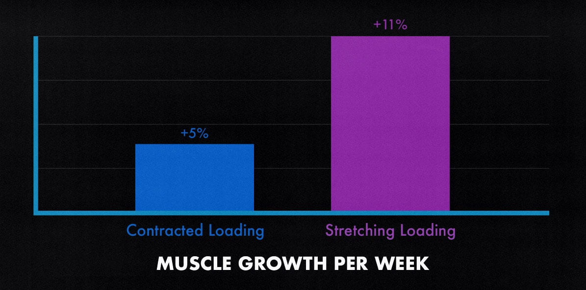 What is Stretch-Mediated Hypertrophy? A Quick Research Breakdown