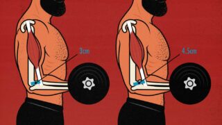 Muscle Size vs Strength: Is Gaining Muscle Mass Good for Gaining Strength?