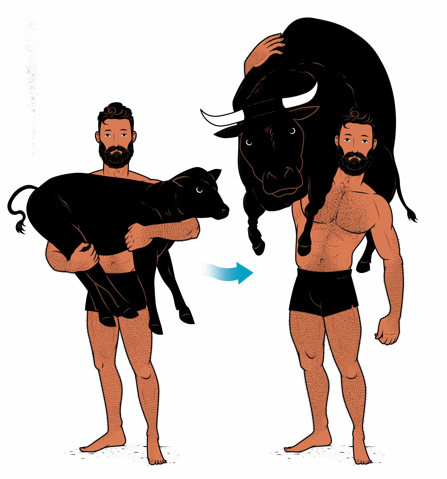 Illustration of Milo of Croton carrying a calf as it grows into a bull, demonstrating the principle of progressive overload for building muscle.