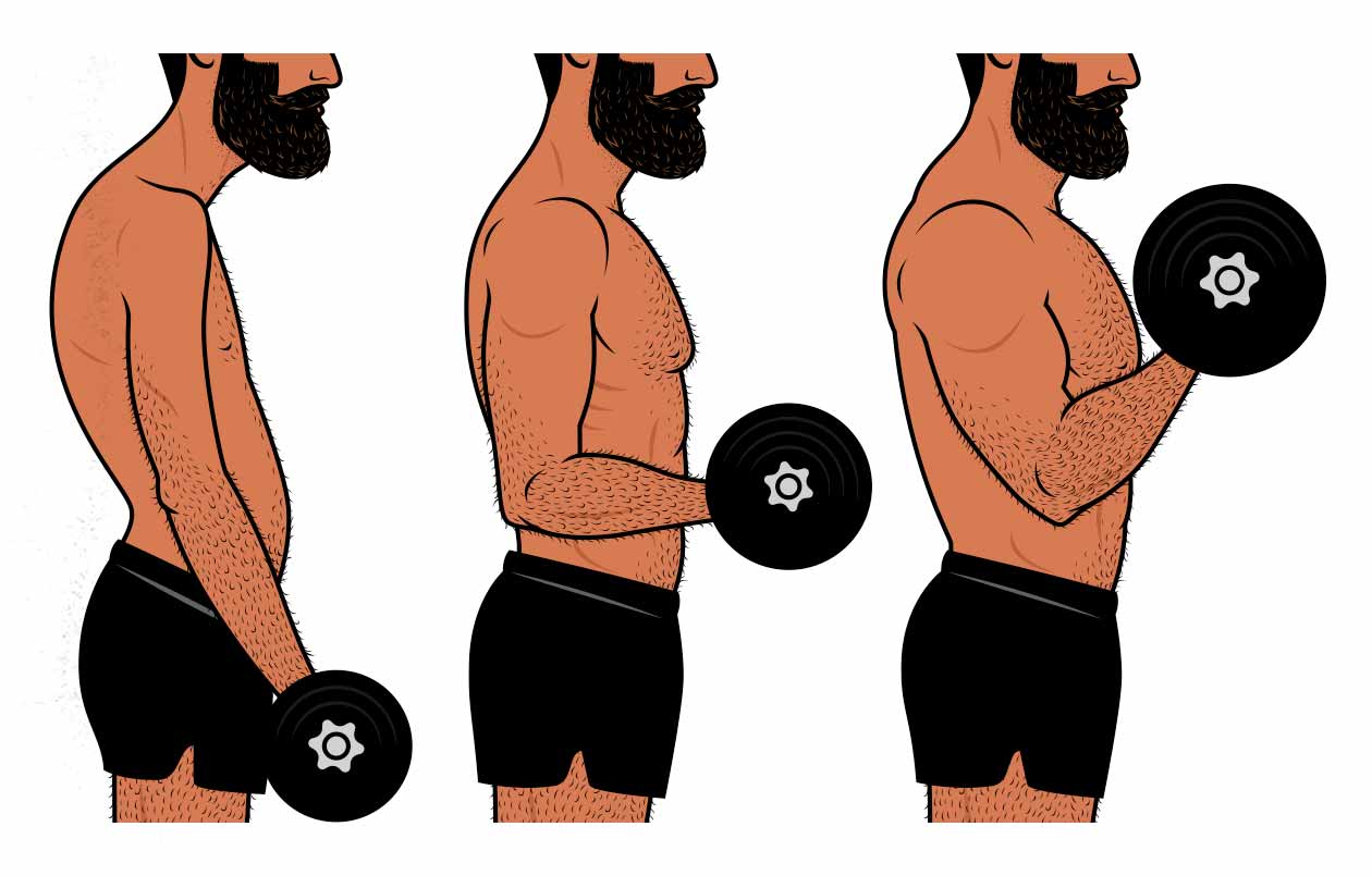 Cartoon of a skinny bodybuilder doing biceps curls to build bigger arms.