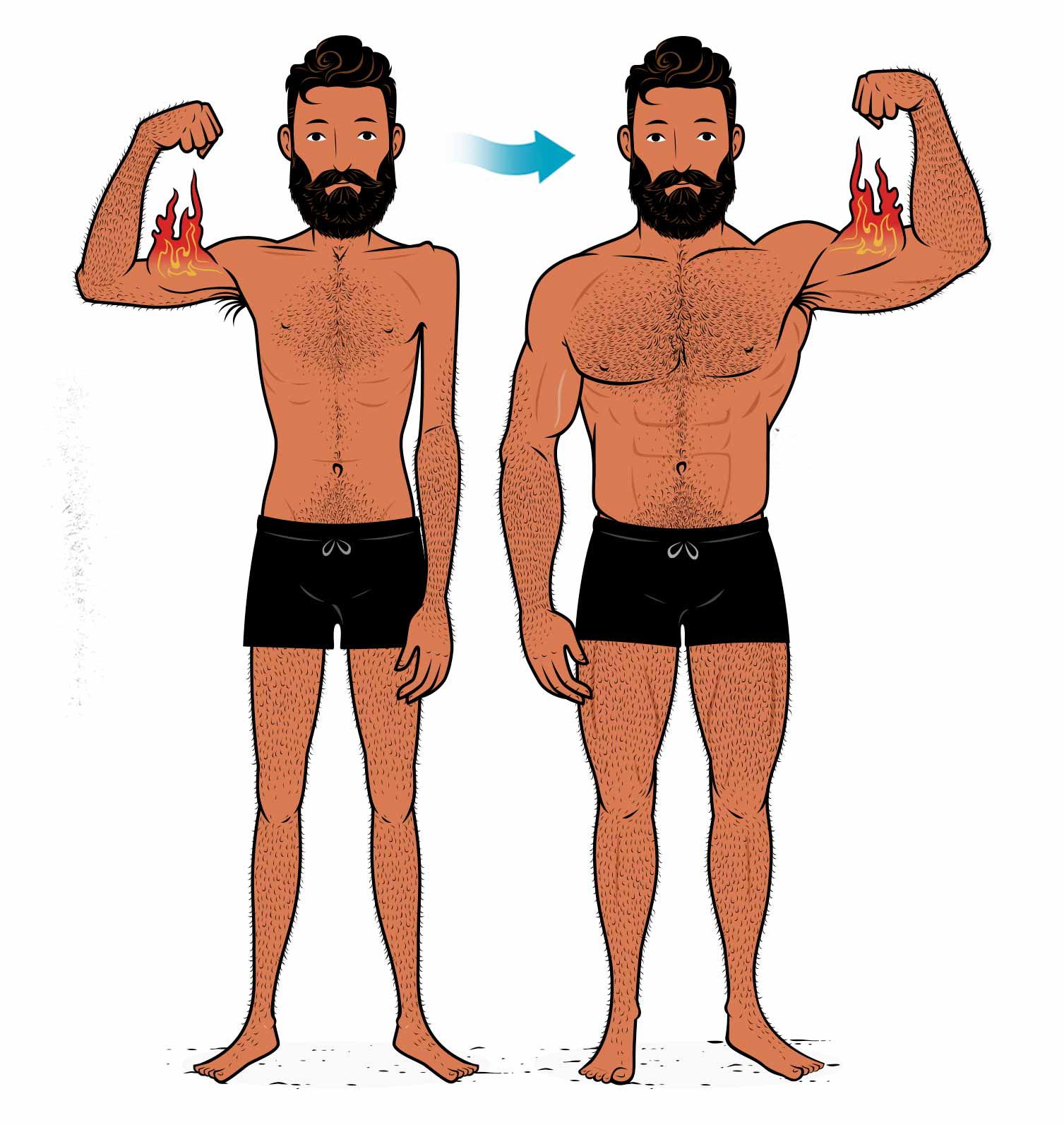 Illustration of the results of a skinny person with a fast metabolism gaining weight and becoming muscular.