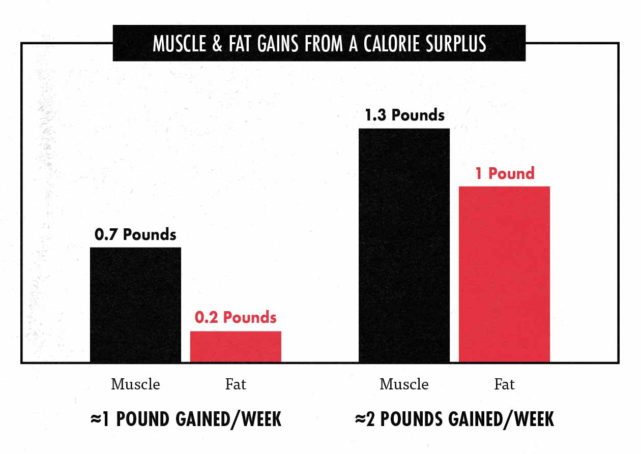 Graph showing that the faster you bulk, the more fat you'll gain.