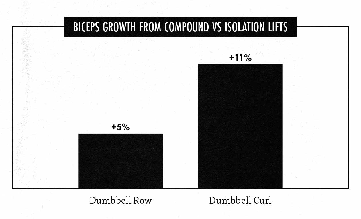 Graph showing that our biceps grow better from biceps curls than rows.