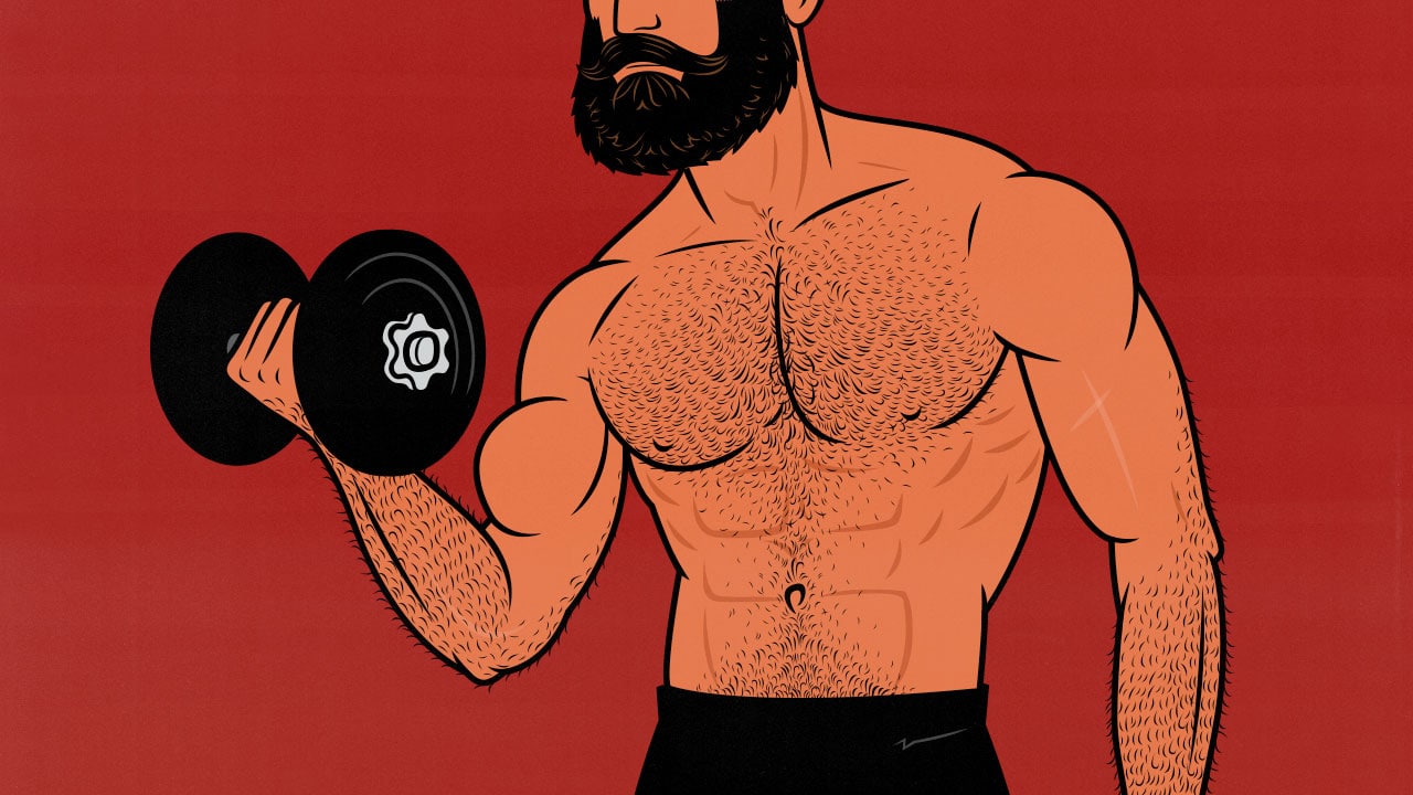 Illustration of a bodybuilder doing biceps curls for the Arm Day of his Bro Split Workout routine.