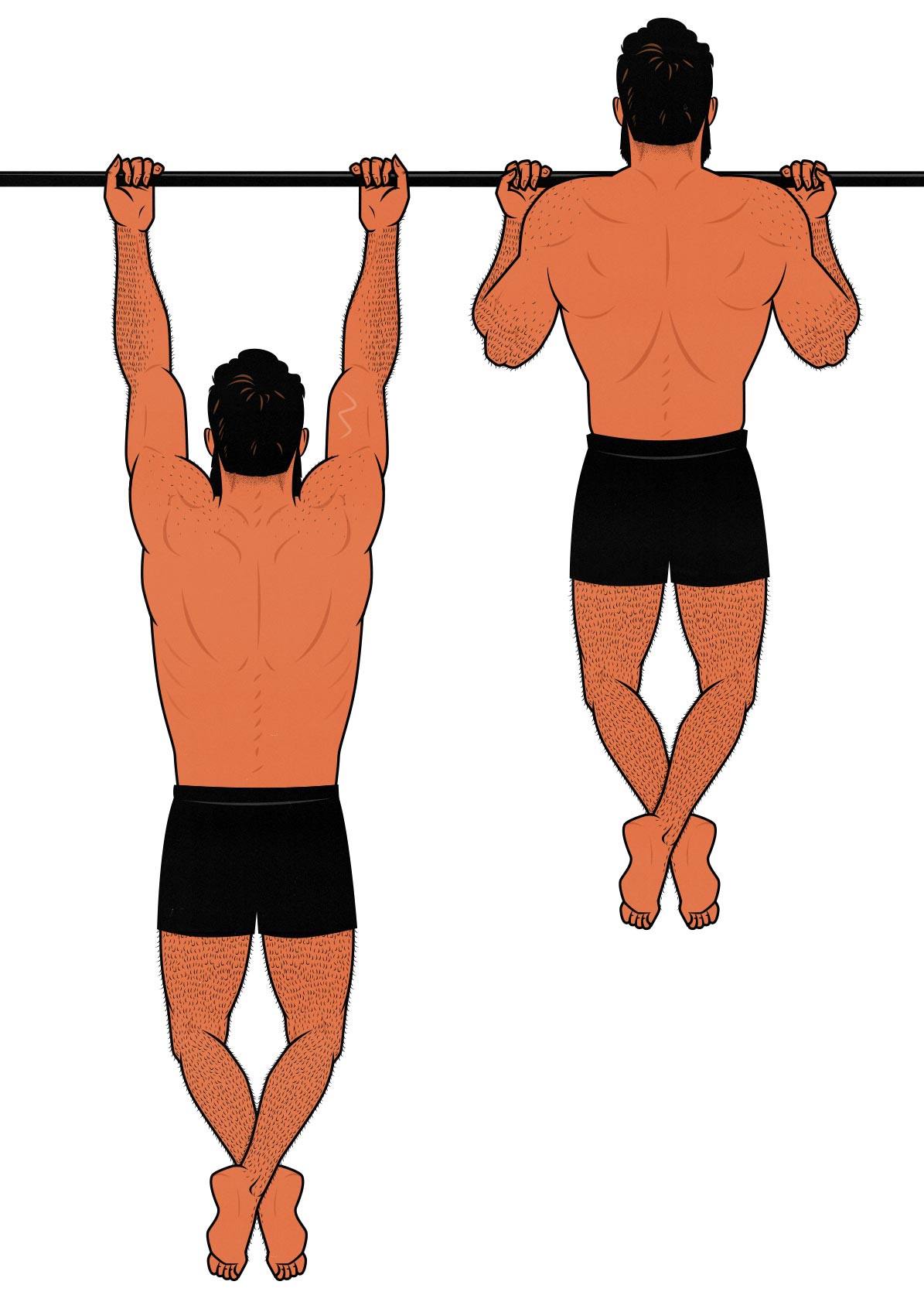 Illustration of a man doing chin-ups to build a bigger back. Illustrated by Shane Duquette for Outlift.