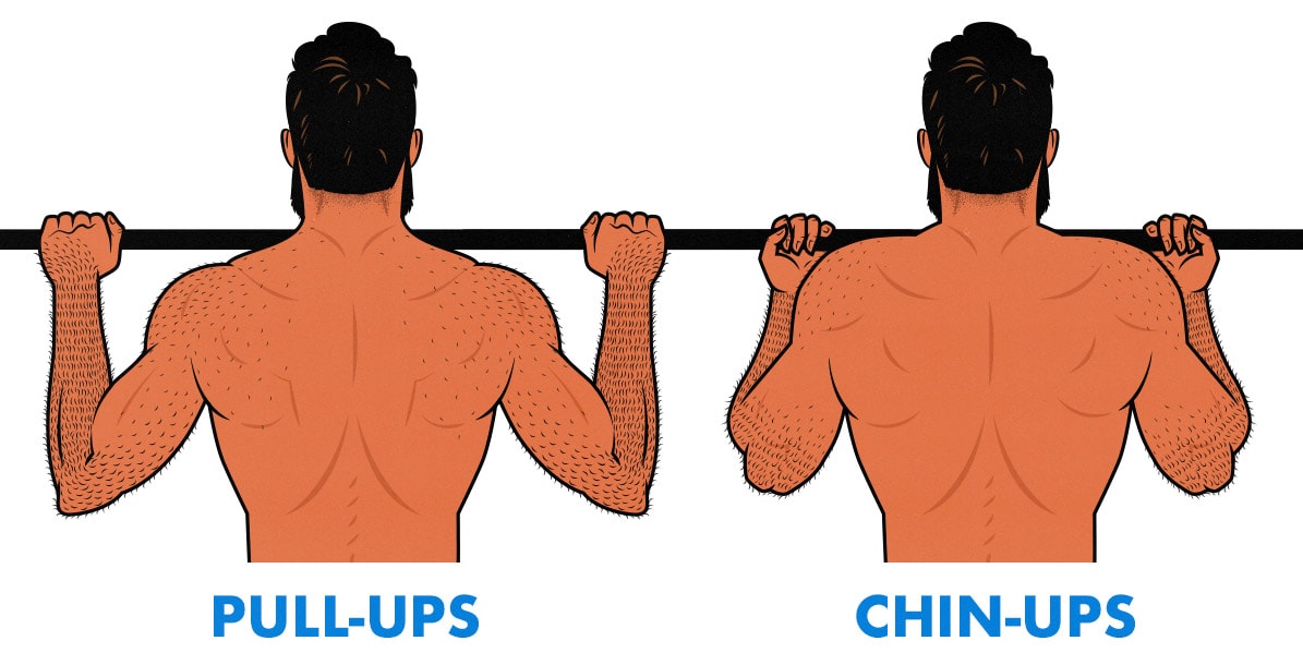 Diagram showing the difference between chin-ups and pull-ups.