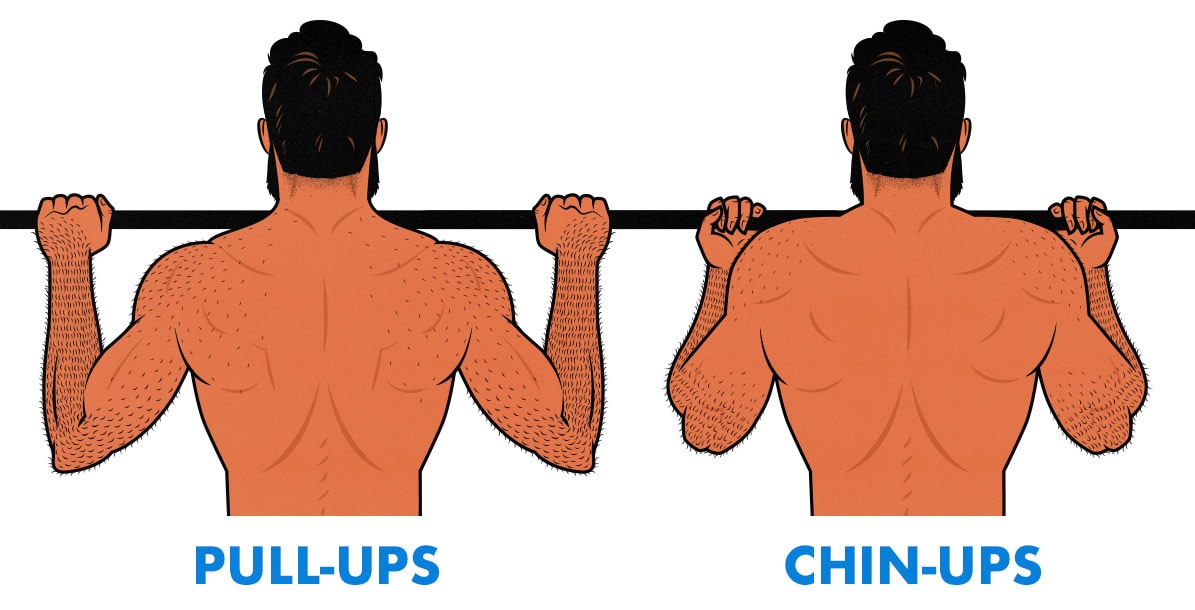 Chin Up x Pull Up: Quais músculos são trabalhados?