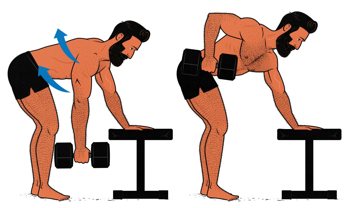 Illustration of a bodybuilder doing dumbbell rows to work his lats and upper back muscles.