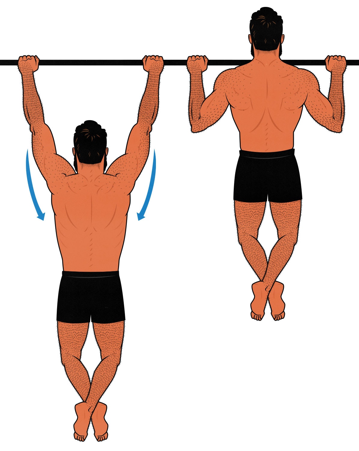 Diagram showing how to do the pull-up exercise. Illustrated by Shane Duquette for Outlift.