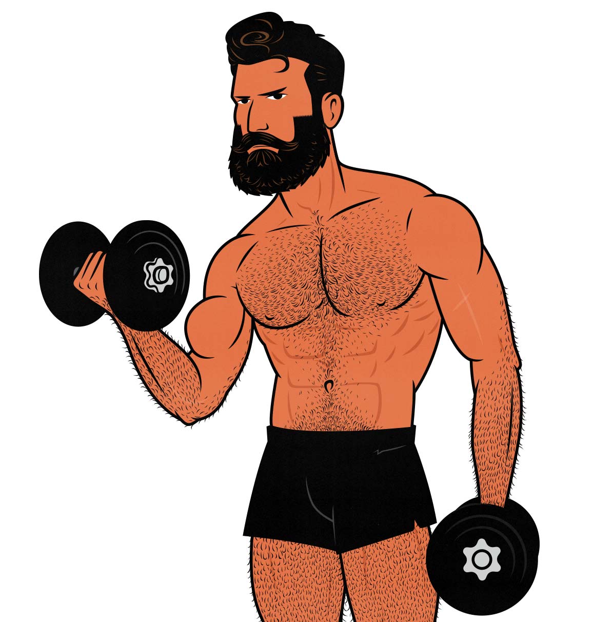 Illustration of a lifter doing biceps curls on Pull Day of his 6-day workout split.