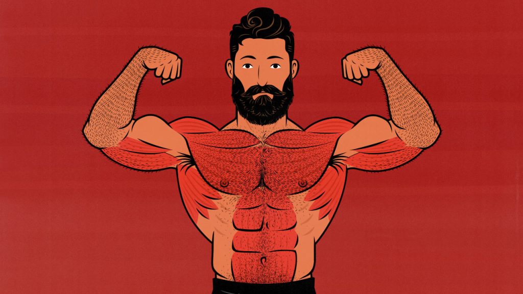 Illustration of a weight lifter flexing his chest muscles after his Chest Day workout.