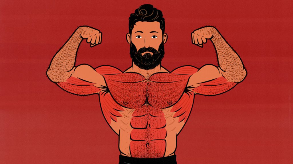 The Best Chest Day Workout for Building Muscle