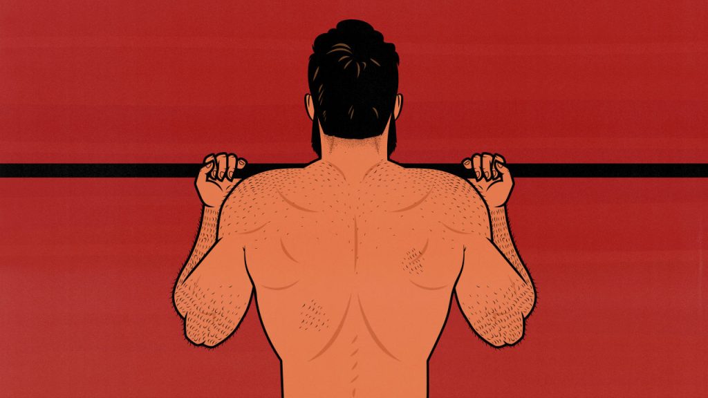 The Best Pull Day Workout for Building Muscle