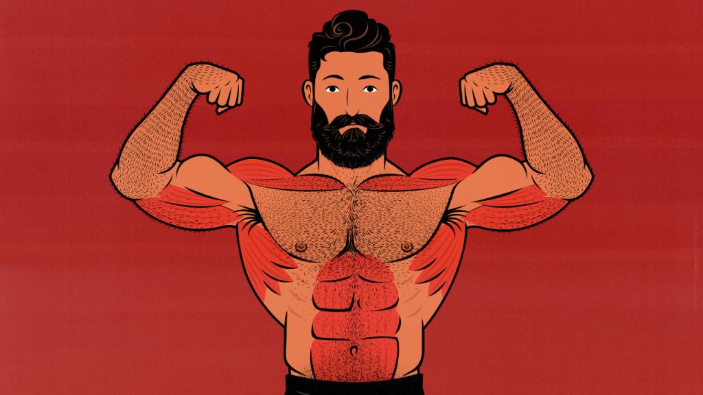 Illustration of a weight lifter flexing his shoulder muscles after a Shoulder Day workout.