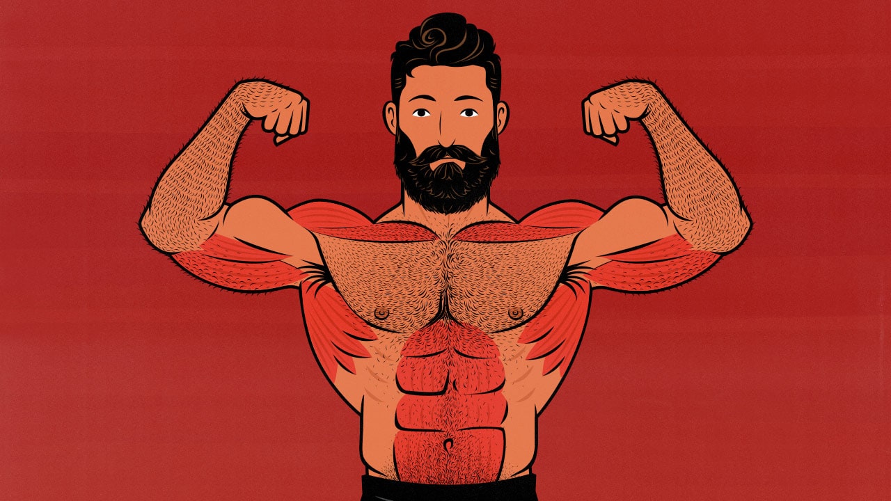 Illustration of a weight lifter flexing his shoulder muscles after a Shoulder Day workout.