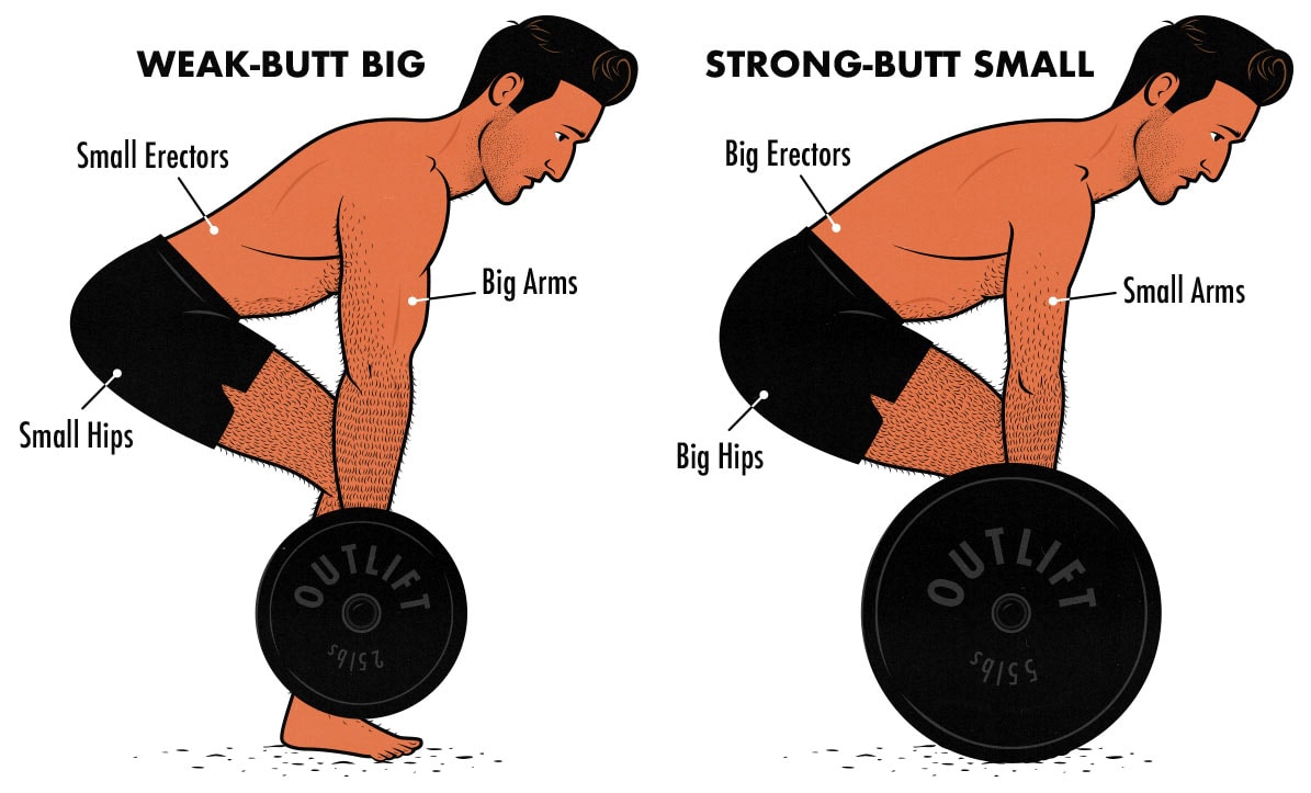 Illustration showing why bodybuilders can seem big but weak and powerlifters can seem small but strong.