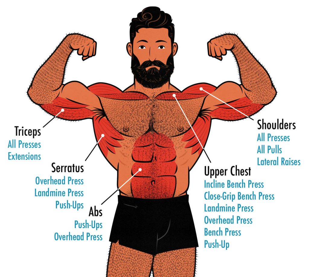 The Best Shoulder Day Workout for Building Muscle – Outlift