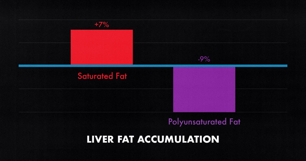 Graph showing how eating a bulking diet that's rich in saturated fat could lead to insulin resistance and diabetes.