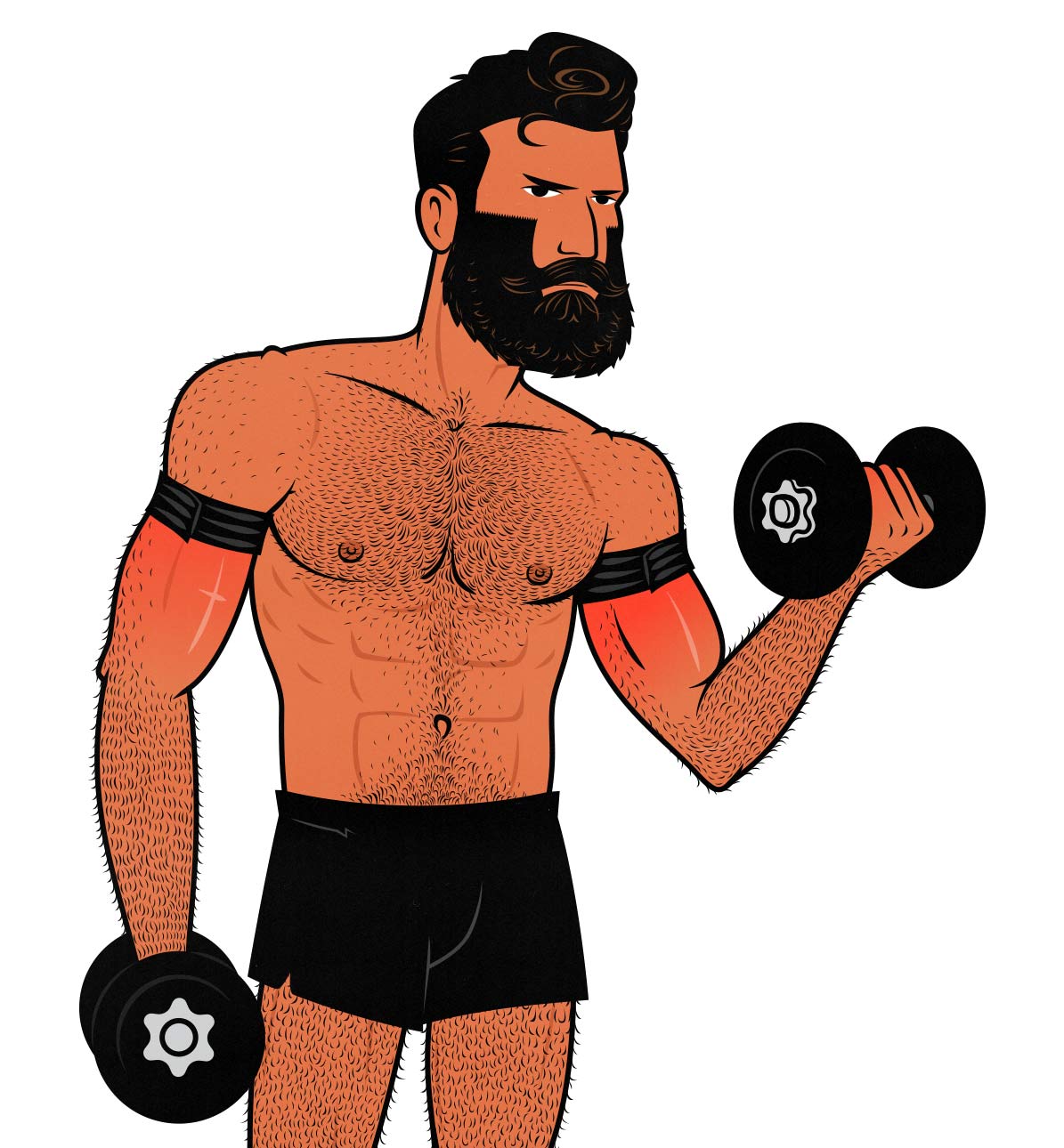 Illustration of a bodybuilder doing Blood Flow Restriction Training (BFR) biceps curls to build bigger arms.