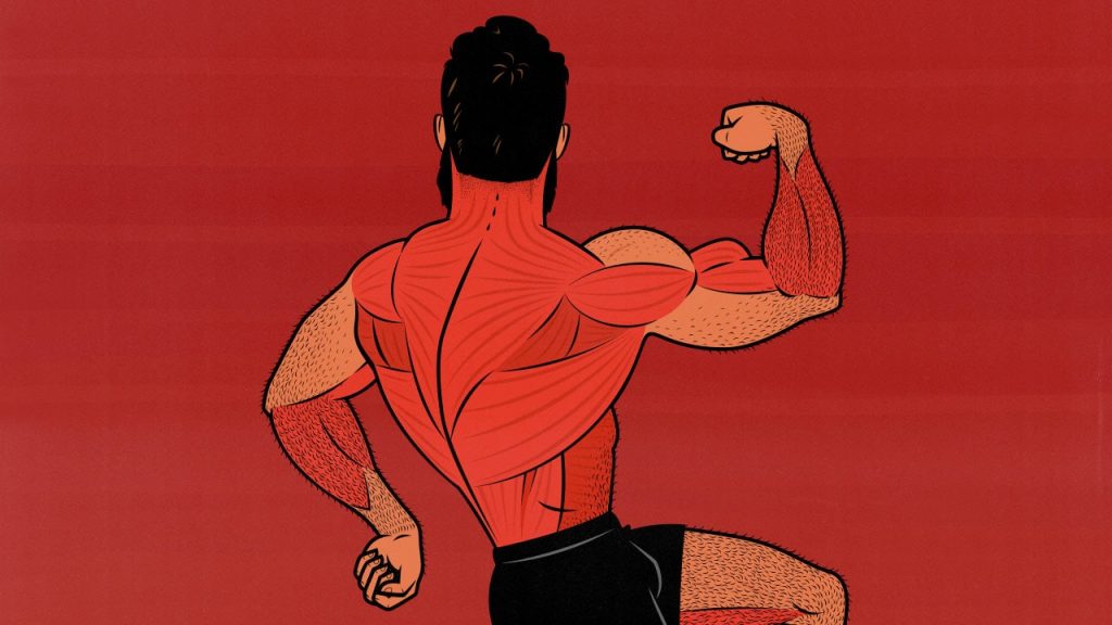 Illustration of a bodybuilder training his back muscles with a Back Day workout.