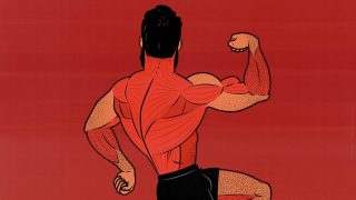 Illustration of a bodybuilder training his back muscles with a Back Day workout.