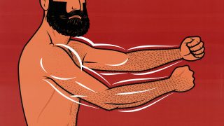 Illustration of a beginner doing an arm workout to build bigger arm muscles.