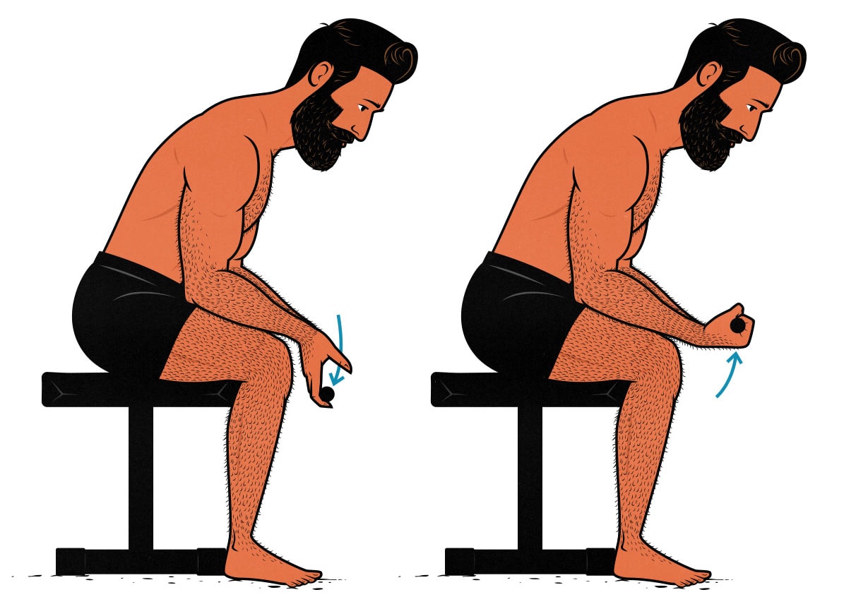 Illustration of a bodybuilder doing forearm curls to build bigger arms on Arm Day.