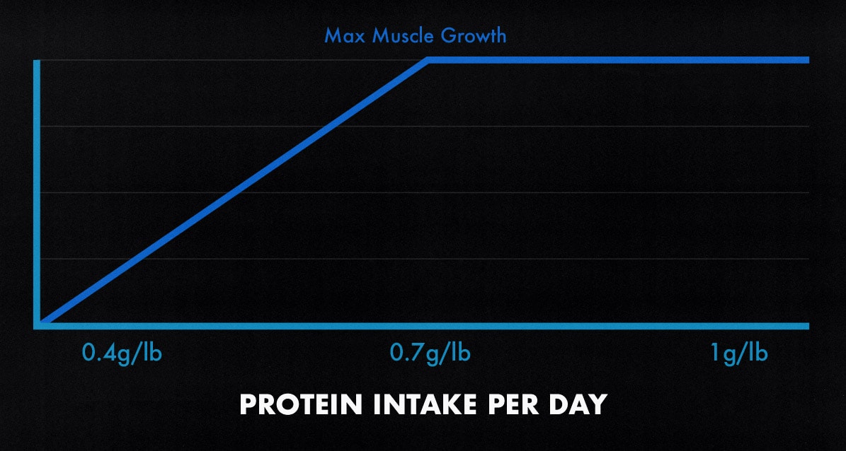 Study graph showing that 0.7 grams of protein per pound of bodyweight per day yields just as much muscle growth as 1 gram of protein per pound of body weight per day.