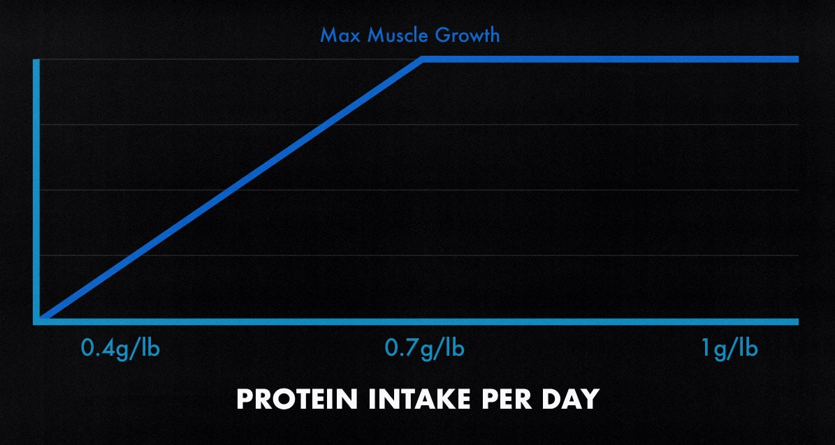 Do You Need 1 Gram of Protein Per Pound Per Day?