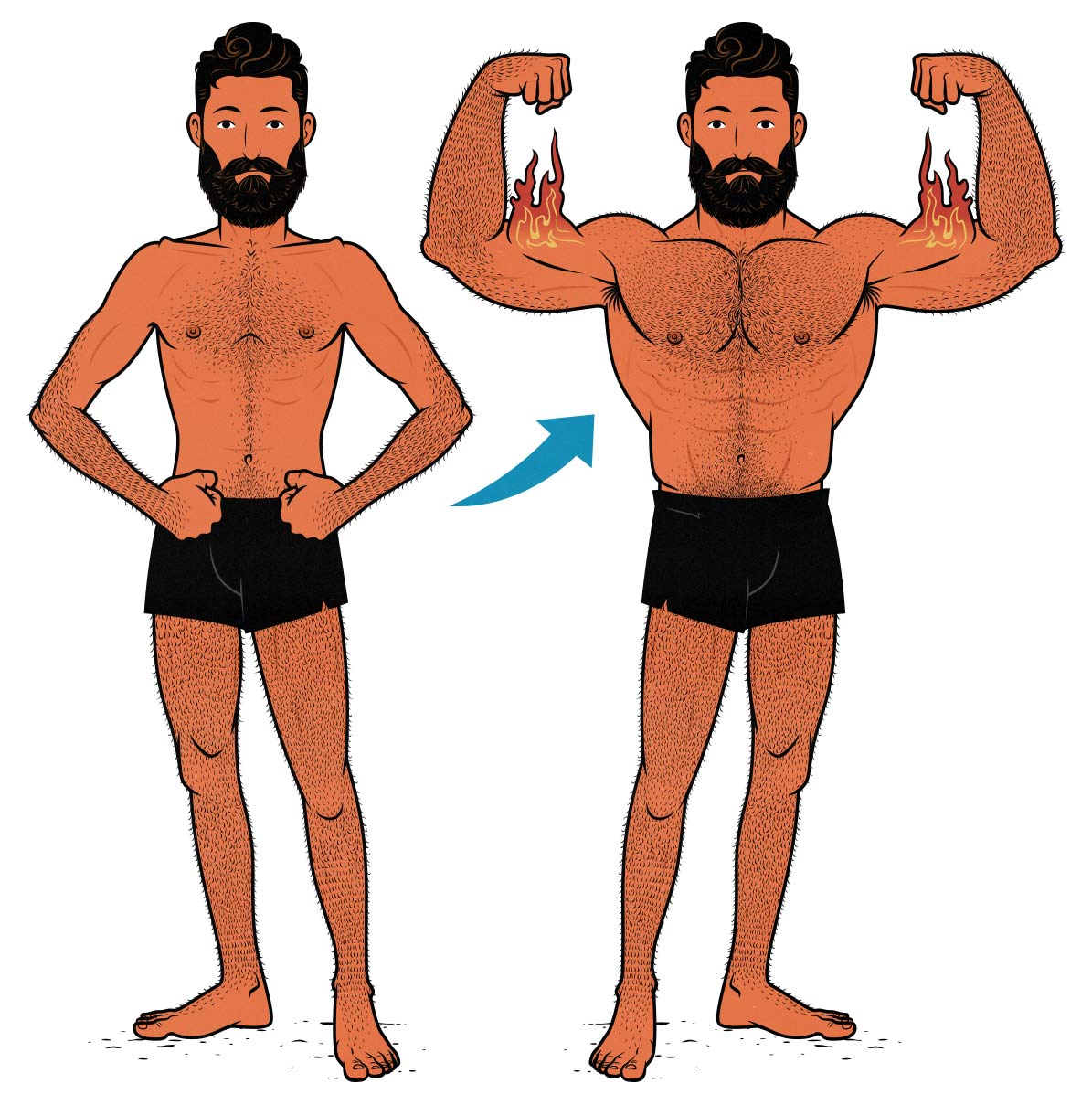 Illustration of a bodybuilder with a big, muscular upper body and small legs from skipping leg day.