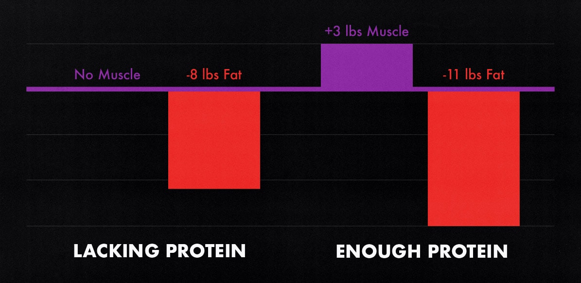 Study graph showing how much protein you should eat for body recomposition and what results you'll get.