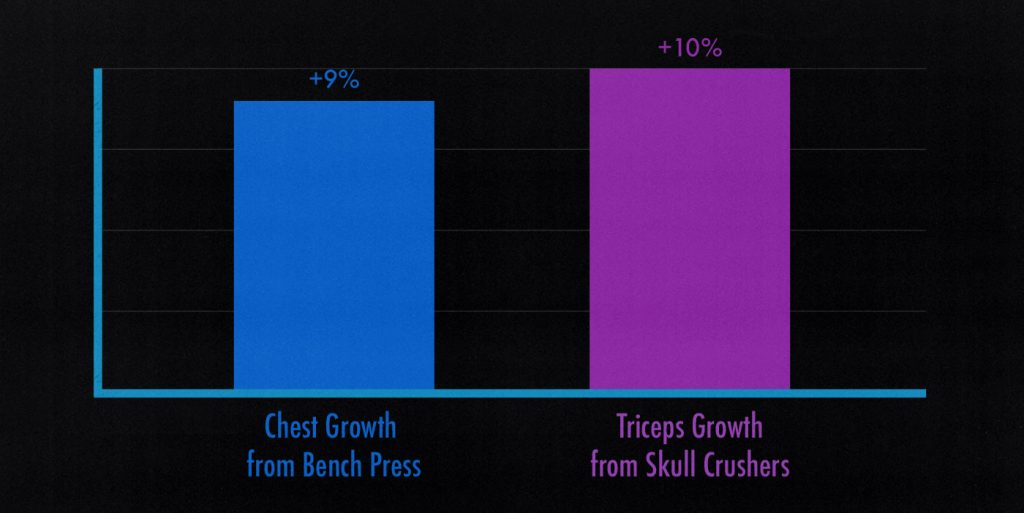 Study graph showing that the chest and triceps grow at the same pace when trained with the same volume.