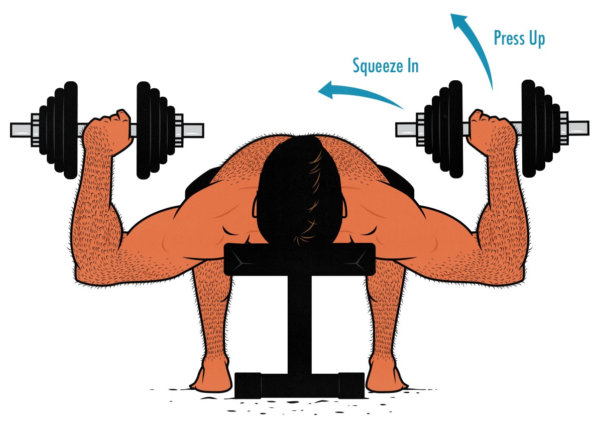 Diagram showing why the dumbbell bench press is a great exercise for people with stubborn pecs.