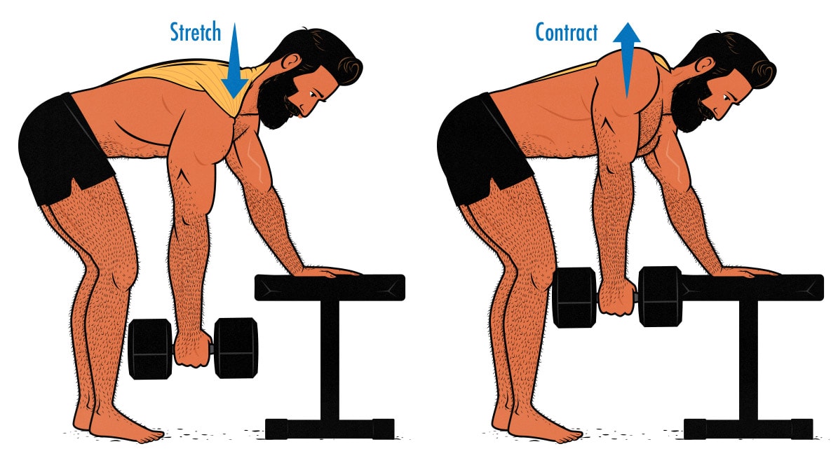 Illustration of a man working out his trap muscles with dumbbells.